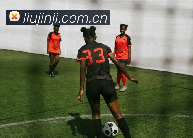 开云官方最新app下载平台生态图