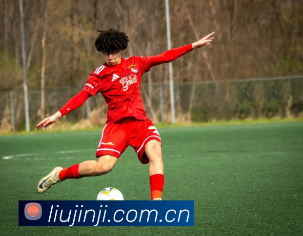 开云官方最新app下载全站App 开云官方最新app下载全站App